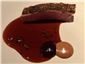 duck with sauce